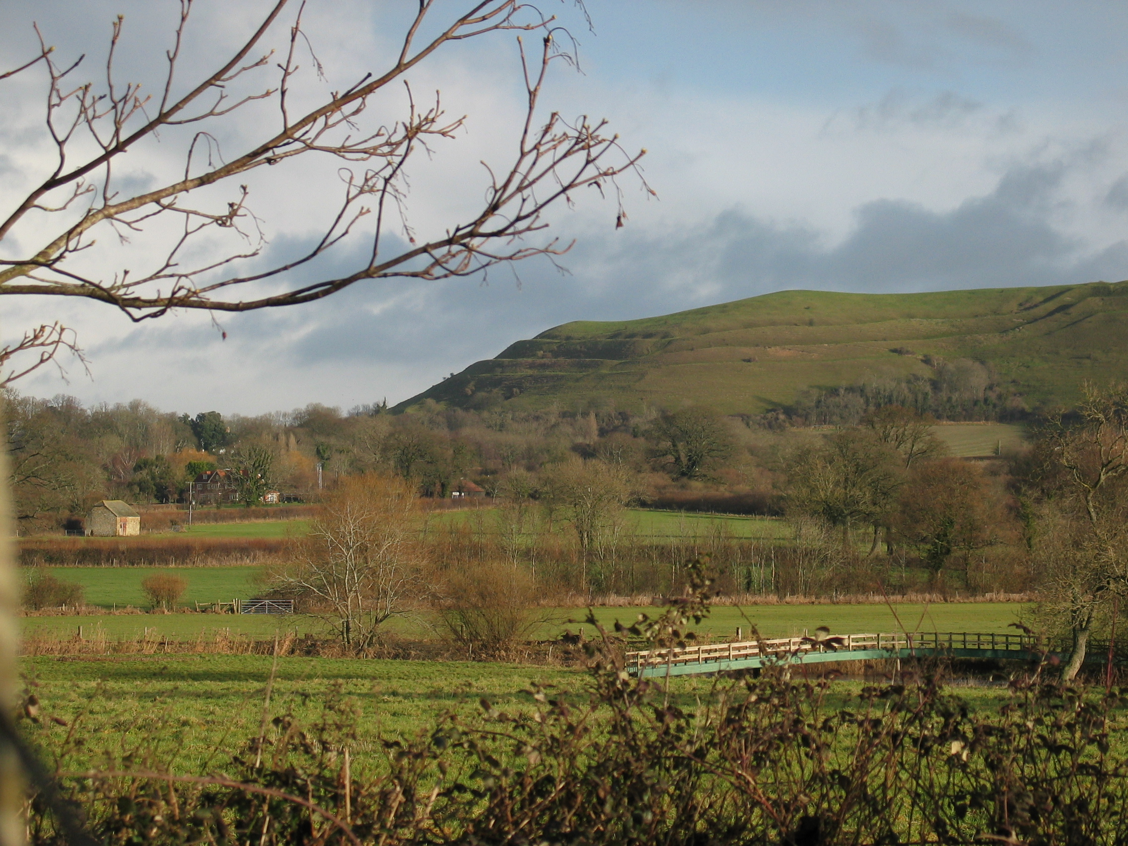 Hambledon Hill seen from the Trailway